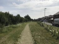 Click for all images